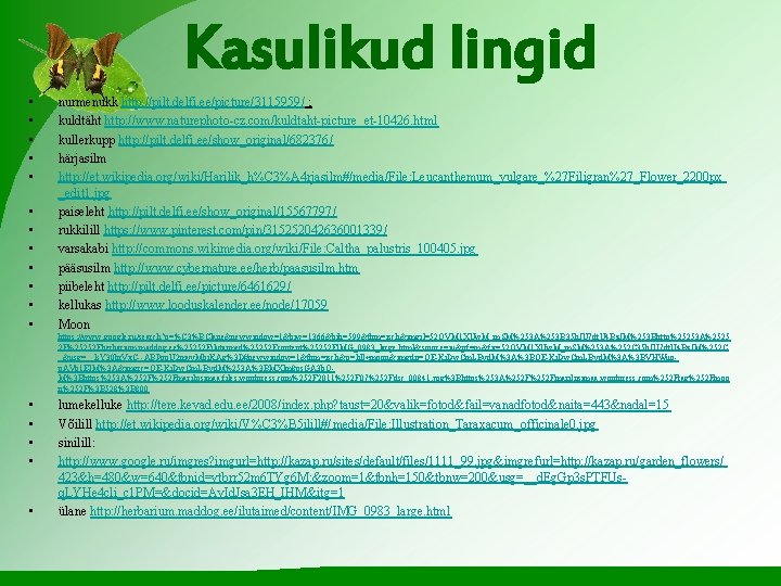 Kasulikud lingid • • • nurmenukk http: //pilt. delfi. ee/picture/3115959/ ; kuldtäht http: //www.