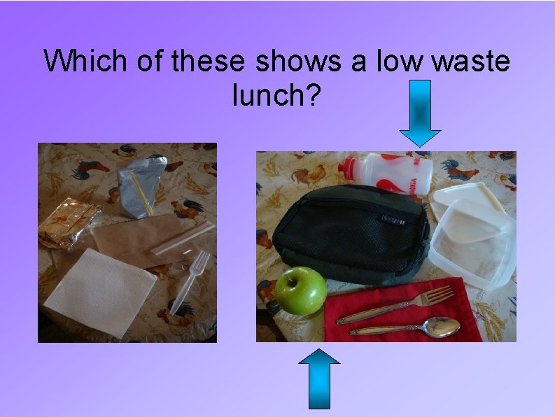 Which of these shows a low waste lunch? 