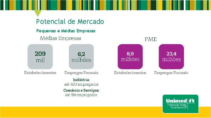 Potencial de Mercado Pequenas e Médias Empresas 