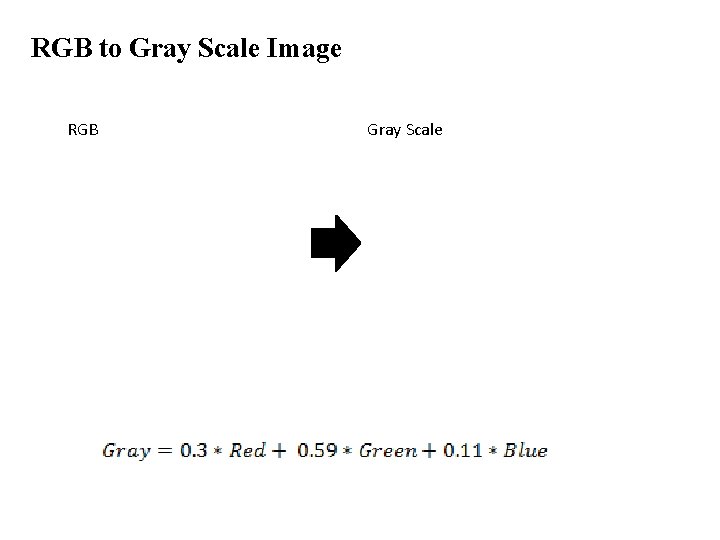 RGB to Gray Scale Image RGB Gray Scale RGB to Gray Scale Image RGB Gray Scale
