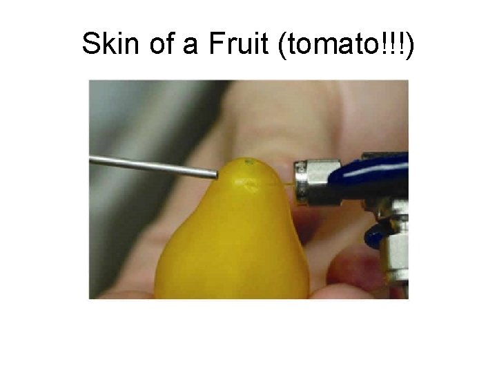 Skin of a Fruit (tomato!!!) 
