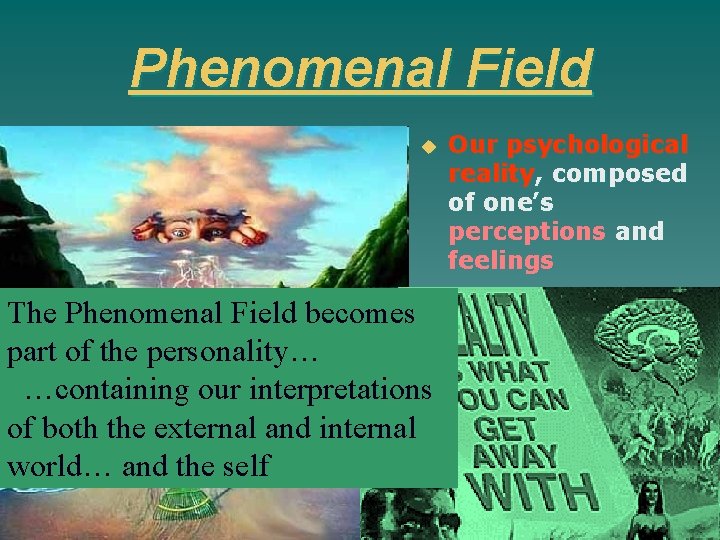 Phenomenal Field u Our psychological reality, composed of one’s perceptions and feelings The Phenomenal