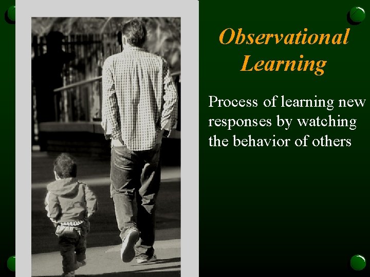 Observational Learning • Process of learning new responses by watching the behavior of others