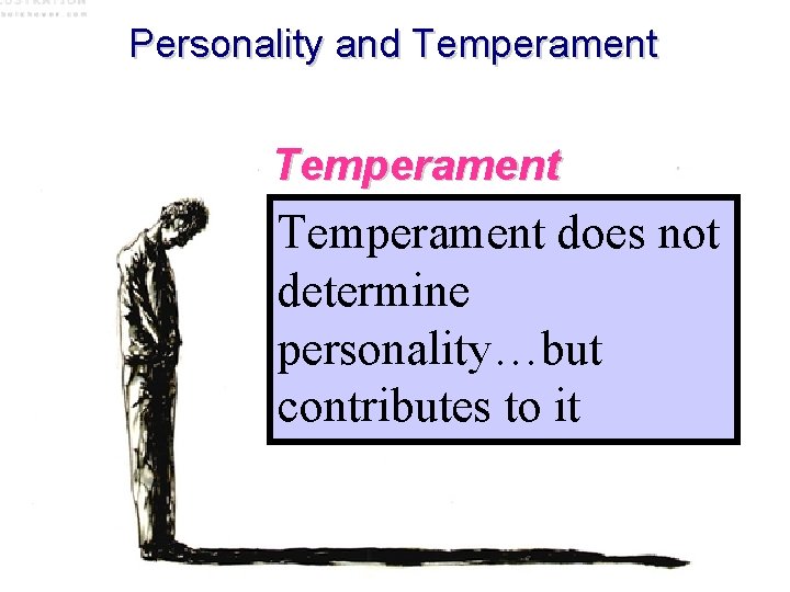 Personality and Temperament Basic, pervasive Temperament does not personality dispositions that determine are apparent
