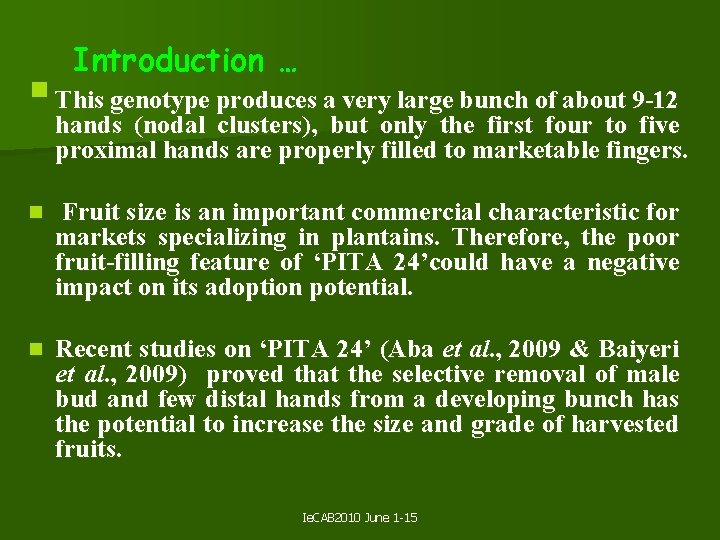 Introduction … § This genotype produces a very large bunch of about 9 -12