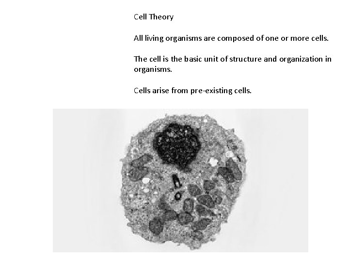 Cell Theory All living organisms are composed of one or more cells. The cell