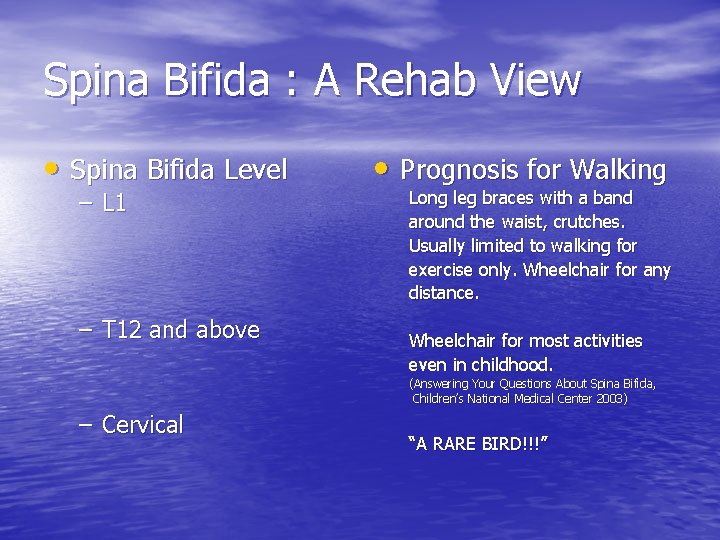 Spina Bifida : A Rehab View • Spina Bifida Level – L 1 –