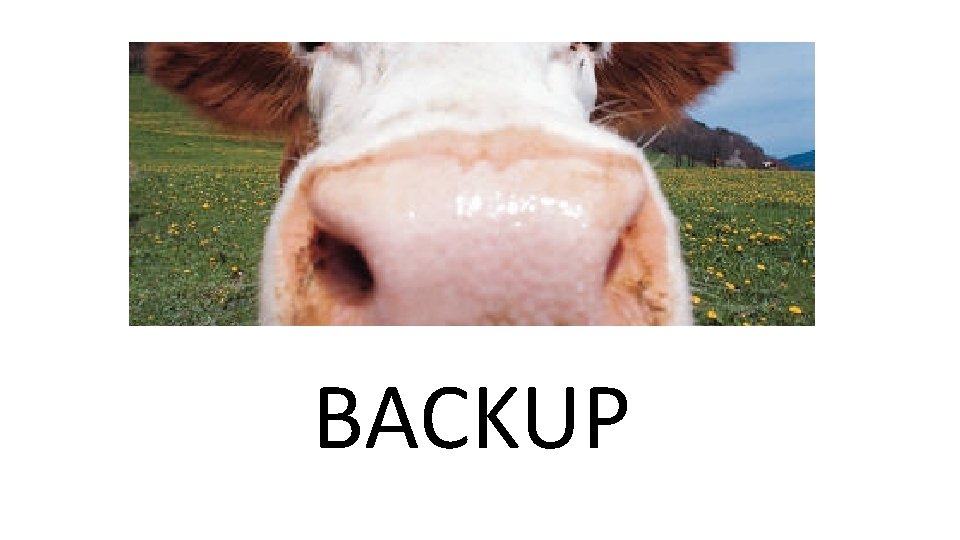 BACKUP 