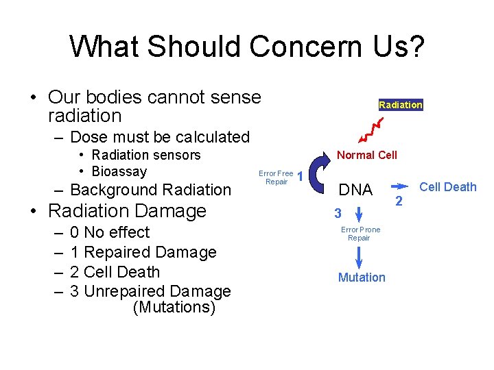 What Should Concern Us? • Our bodies cannot sense radiation Radiation – Dose must