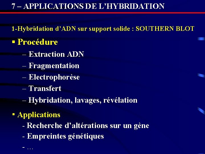 7 – APPLICATIONS DE L’HYBRIDATION 1 -Hybridation d’ADN sur support solide : SOUTHERN BLOT 7 – APPLICATIONS DE L’HYBRIDATION 1 -Hybridation d’ADN sur support solide : SOUTHERN BLOT