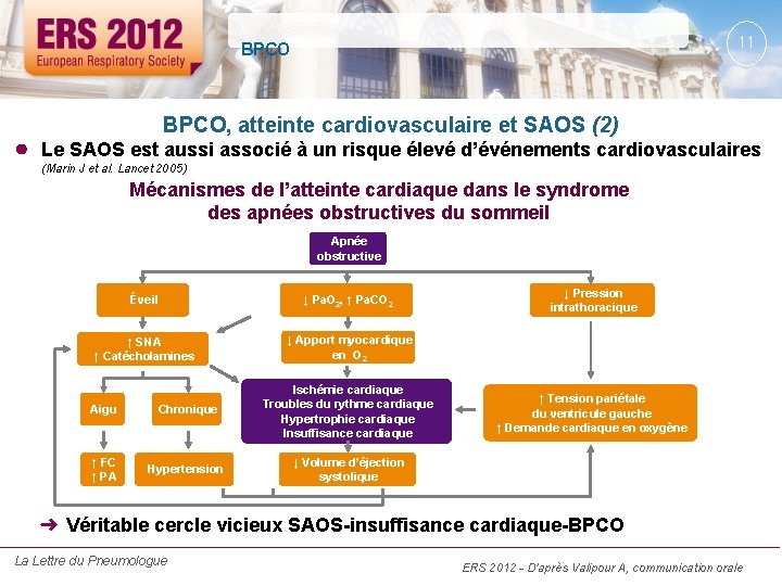 11 BPCO ● BPCO, atteinte cardiovasculaire et SAOS (2) Le SAOS est aussi associé