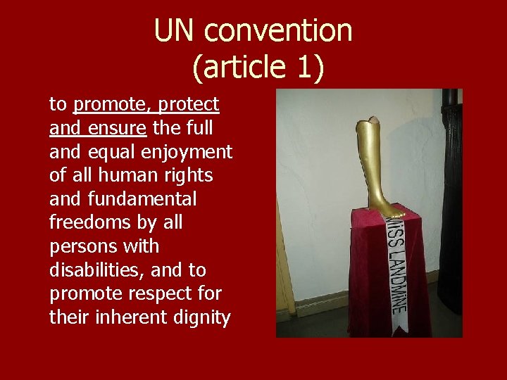 UN convention (article 1) to promote, protect and ensure the full and equal enjoyment