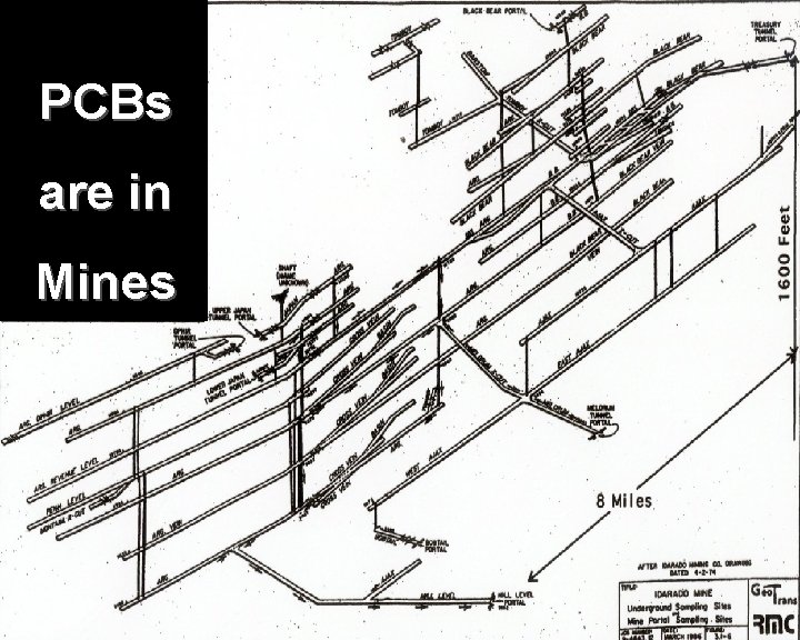 PCBs are in Mines 