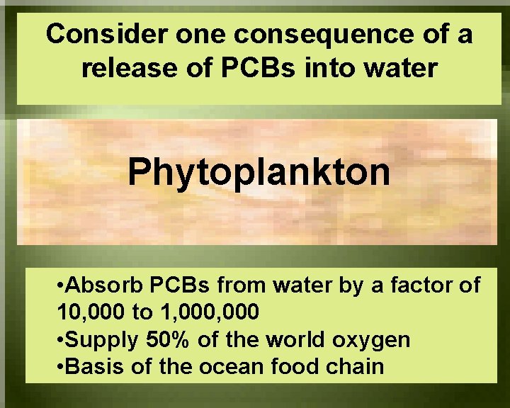 Consider one consequence of a release of PCBs into water Phytoplankton • Absorb PCBs