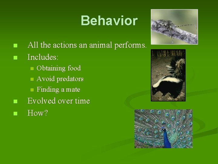 Behavior n n All the actions an animal performs. Includes: n n n Obtaining