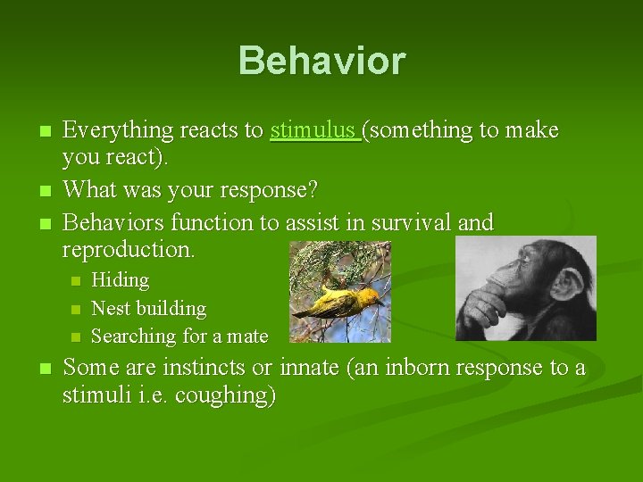 Behavior n n n Everything reacts to stimulus (something to make you react). What