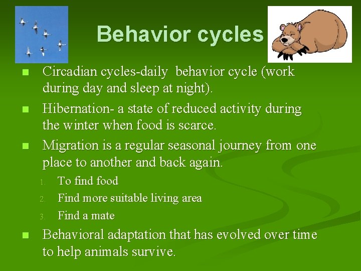 Behavior cycles n n n Circadian cycles-daily behavior cycle (work during day and sleep