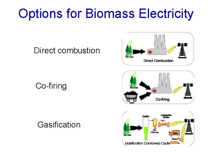 Options for Biomass Electricity Direct combustion Co-firing Gasification 