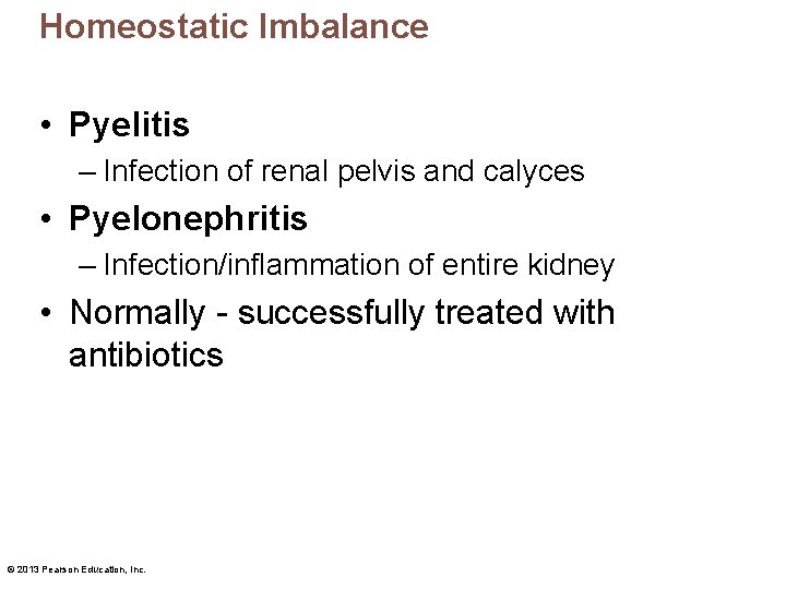 Homeostatic Imbalance • Pyelitis – Infection of renal pelvis and calyces • Pyelonephritis –