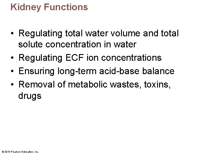 Kidney Functions • Regulating total water volume and total solute concentration in water •