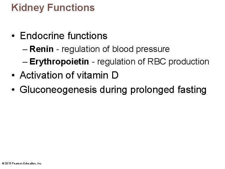 Kidney Functions • Endocrine functions – Renin - regulation of blood pressure – Erythropoietin