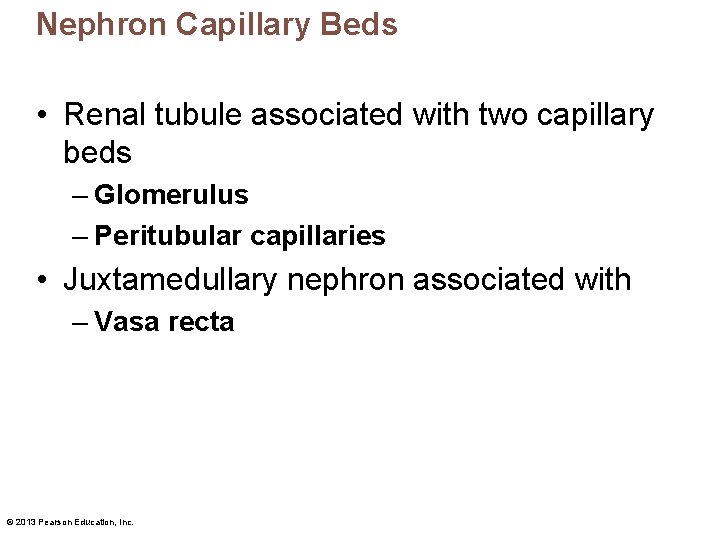 Nephron Capillary Beds • Renal tubule associated with two capillary beds – Glomerulus –