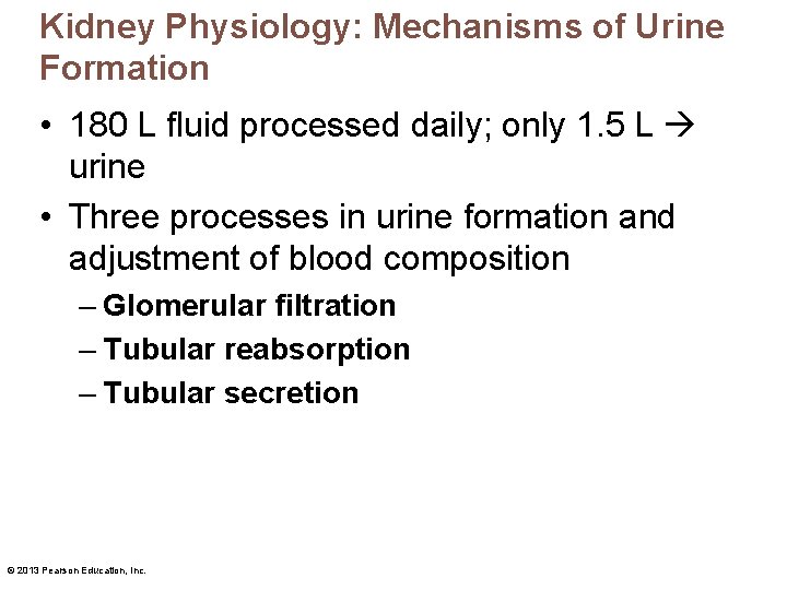 Kidney Physiology: Mechanisms of Urine Formation • 180 L fluid processed daily; only 1.