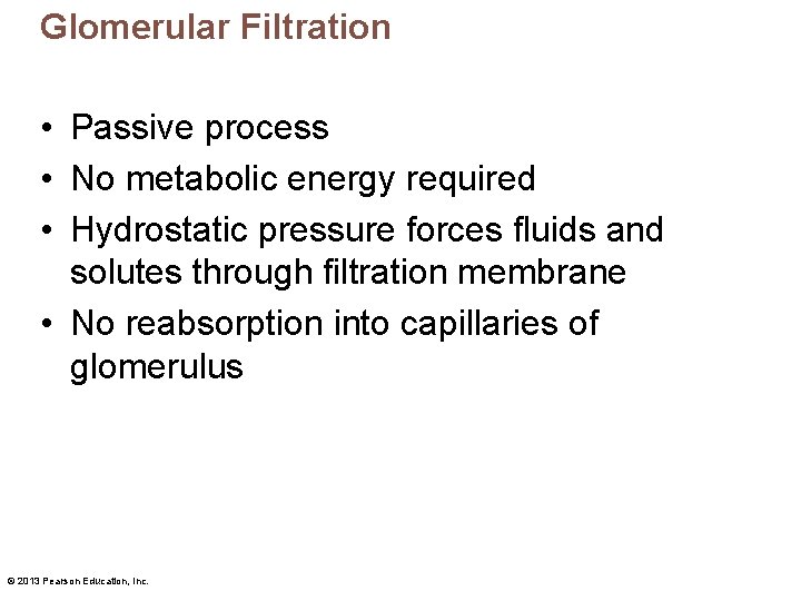 Glomerular Filtration • Passive process • No metabolic energy required • Hydrostatic pressure forces