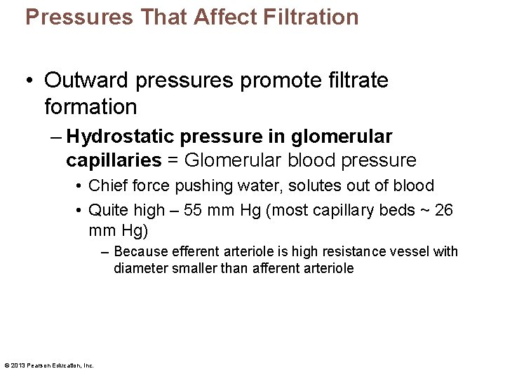 Pressures That Affect Filtration • Outward pressures promote filtrate formation – Hydrostatic pressure in