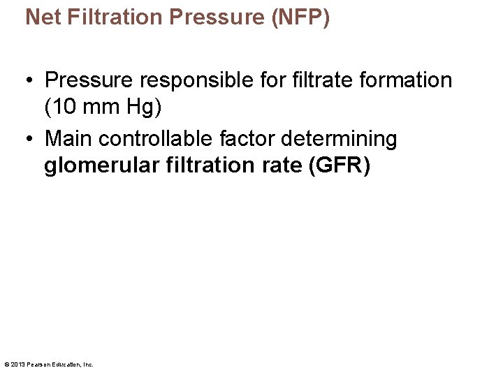 Net Filtration Pressure (NFP) • Pressure responsible for filtrate formation (10 mm Hg) •