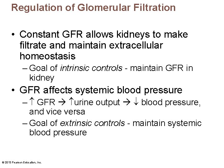 Regulation of Glomerular Filtration • Constant GFR allows kidneys to make filtrate and maintain