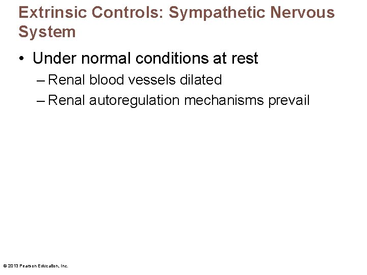 Extrinsic Controls: Sympathetic Nervous System • Under normal conditions at rest – Renal blood