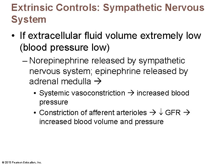 Extrinsic Controls: Sympathetic Nervous System • If extracellular fluid volume extremely low (blood pressure