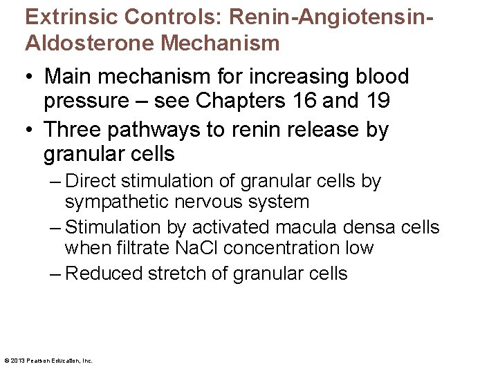 Extrinsic Controls: Renin-Angiotensin. Aldosterone Mechanism • Main mechanism for increasing blood pressure – see