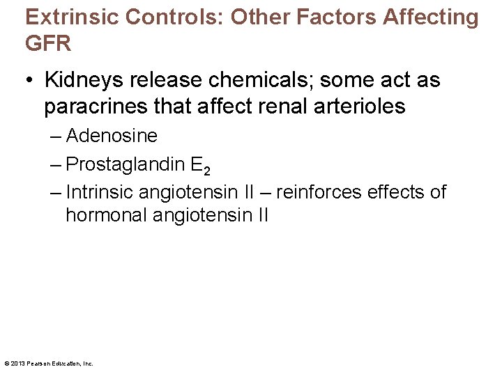 Extrinsic Controls: Other Factors Affecting GFR • Kidneys release chemicals; some act as paracrines