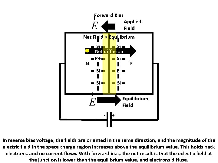 Forward Bias Applied Field Net Field < Equilibrium N Si Si Net diffusion P+