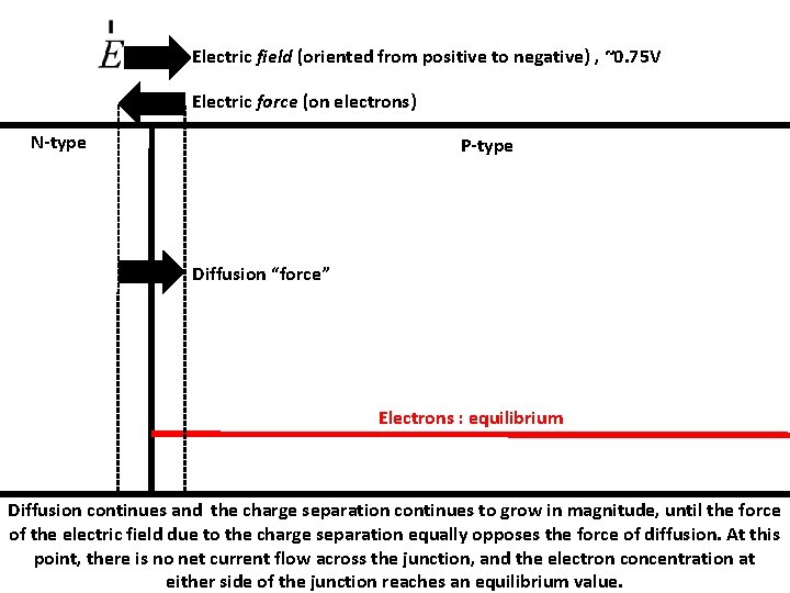 Electric field (oriented from positive to negative) , ~0. 75 V Electric force (on