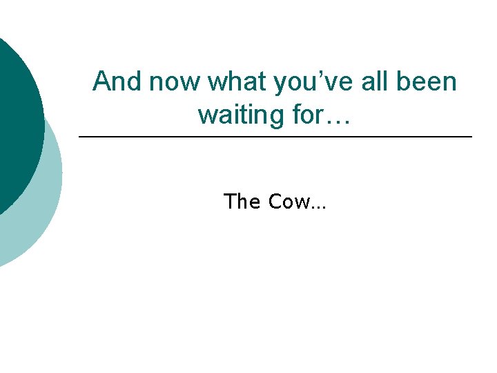 And now what you’ve all been waiting for… The Cow… 