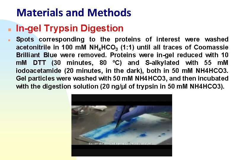 Materials and Methods n n In-gel Trypsin Digestion Spots corresponding to the proteins of