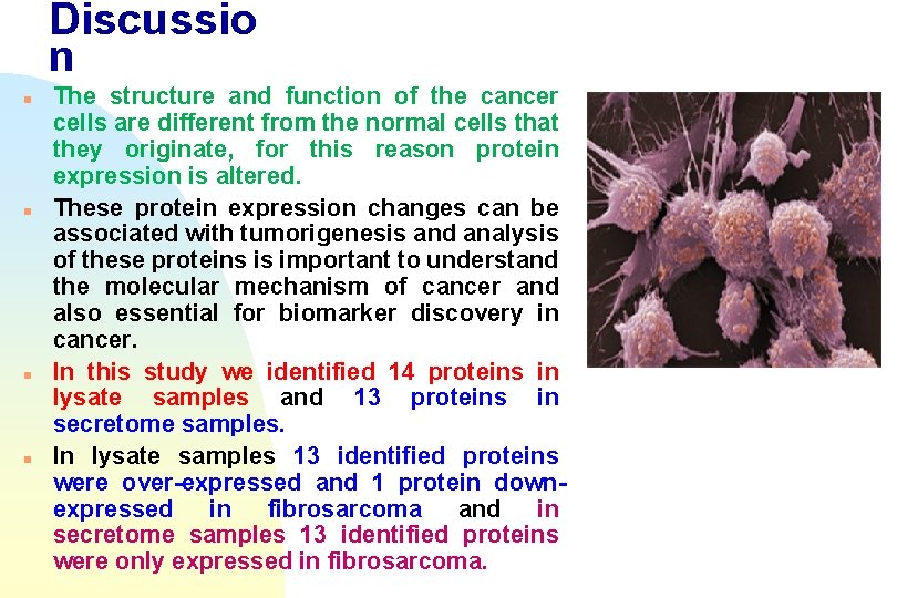 Discussio n n n The structure and function of the cancer cells are different