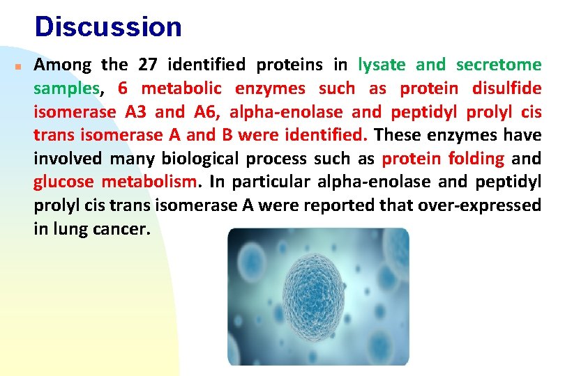 Discussion n Among the 27 identified proteins in lysate and secretome samples, 6 metabolic