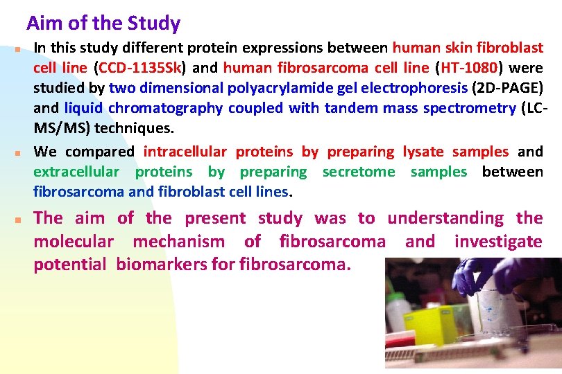 Aim of the Study n n n In this study different protein expressions between