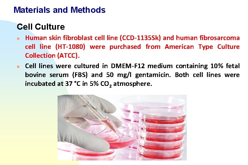 Materials and Methods Cell Culture n n Human skin fibroblast cell line (CCD-1135 Sk)