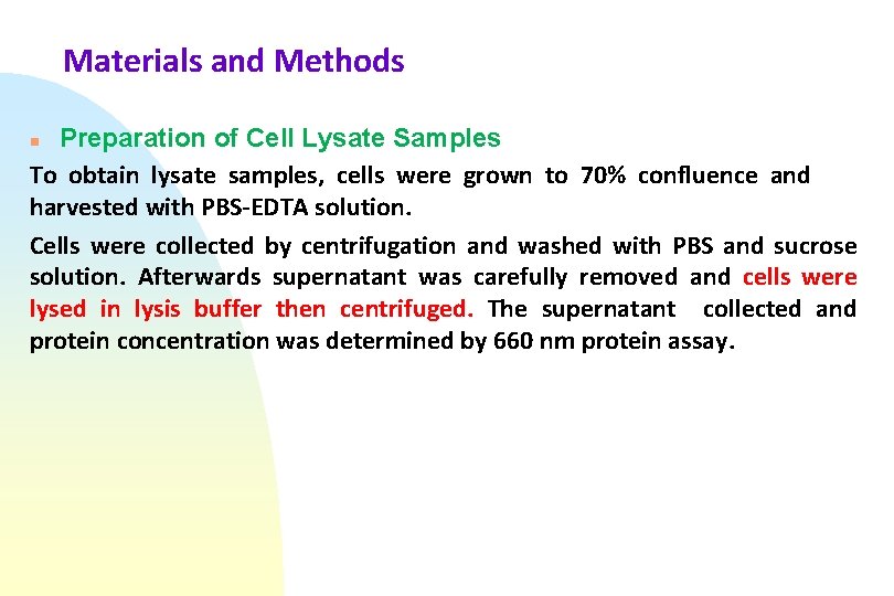 Materials and Methods Preparation of Cell Lysate Samples To obtain lysate samples, cells were