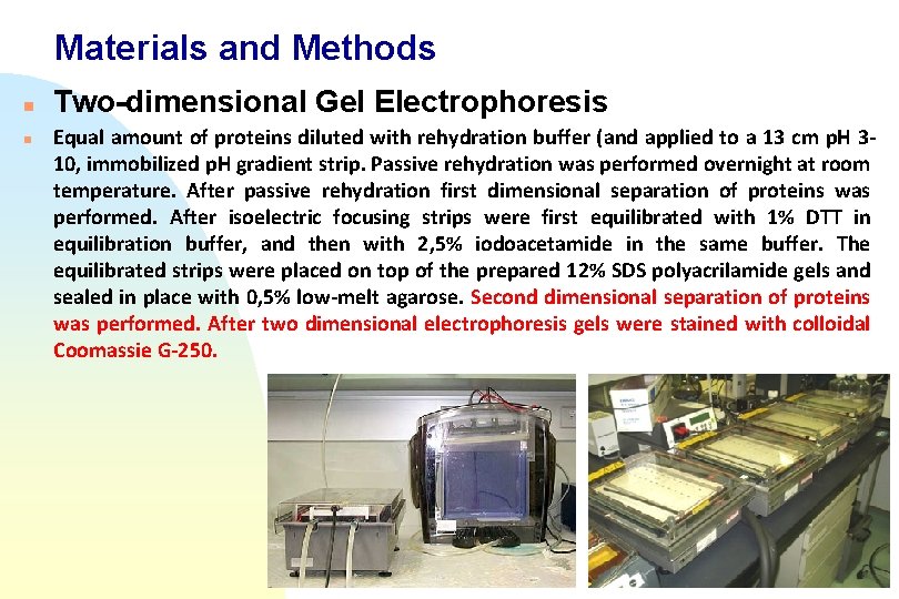 Materials and Methods n n Two-dimensional Gel Electrophoresis Equal amount of proteins diluted with