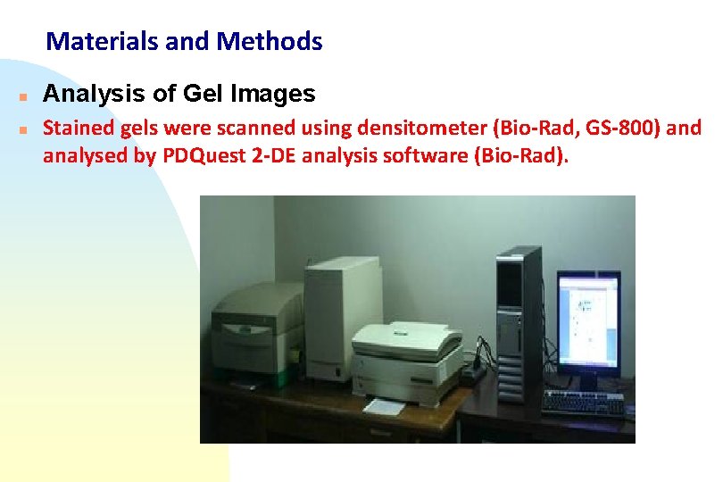 Materials and Methods n n Analysis of Gel Images Stained gels were scanned using