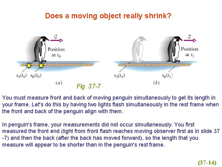 Does a moving object really shrink? Fig. 37 -7 You must measure front and