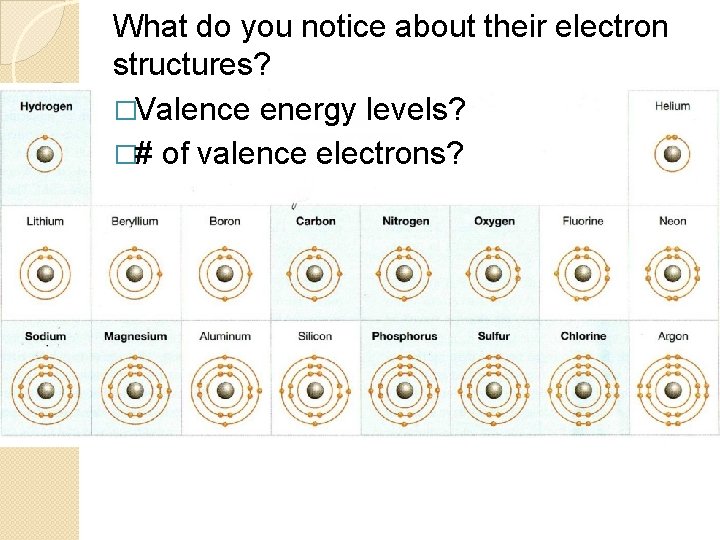 What do you notice about their electron structures? �Valence energy levels? �# of valence