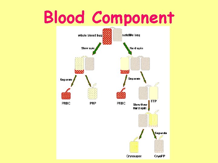 Blood Component 