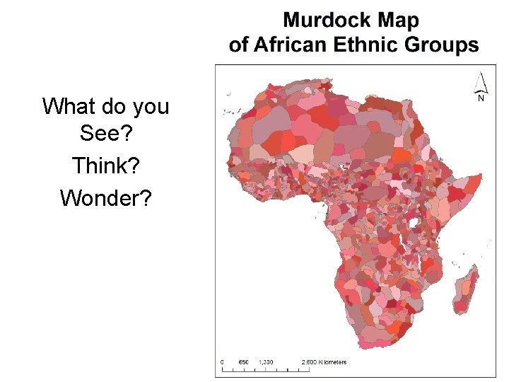 What do you See? Think? Wonder? 